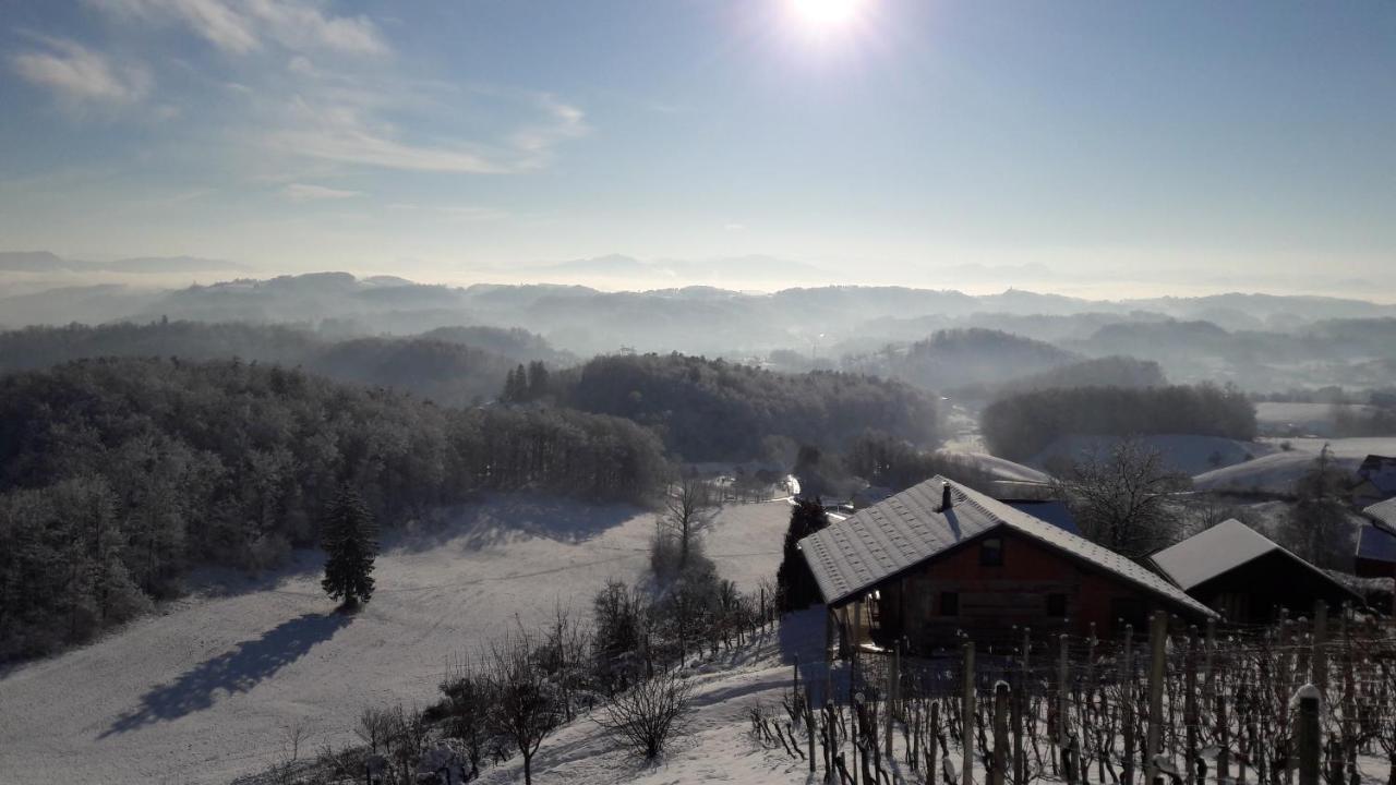 Nastanitev Nika Apartamento Rogaška Slatina Exterior foto